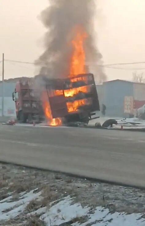 河南一满载活猪的大卡车突发大火 火势汹汹猪只受困