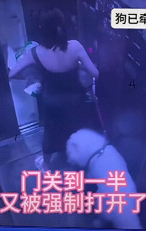 反转？自述牵狗进电梯被邻居殴打女生道歉：账号设私密 主页发布致歉文本