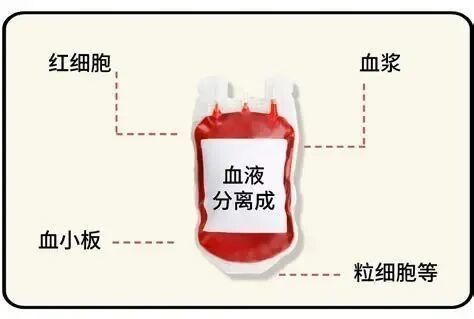 各地血库告急 为何公众反感无偿献血 信任危机待解