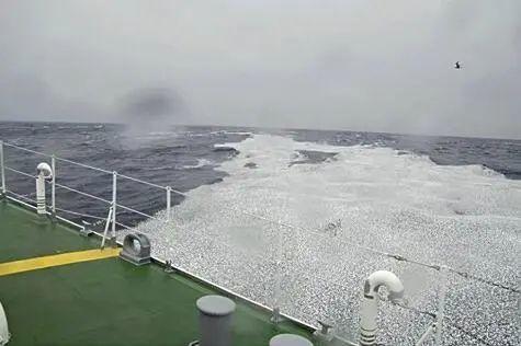 日本近海出现密密麻麻鱼类尸体 现场照片诡异