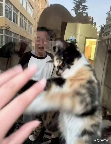 煙臺一高校學生熱暈 附近酒店爆滿 高溫考驗下的應對與反思