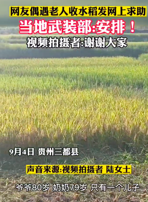 军民一家亲！偶遇耄耋老人收水稻女子网上求助 当地武装部：安排