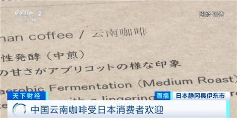 日本年進口云南咖啡生豆超900噸 品質獲認可銷量增