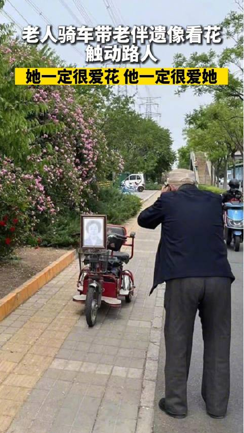 老人载老伴遗像去看花 网友：她一定很爱花，他一定很爱她