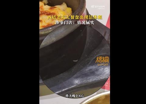 网传西塔老太太餐盘出现活体蛆，门店回应情况属实，会向公司反映静候处理