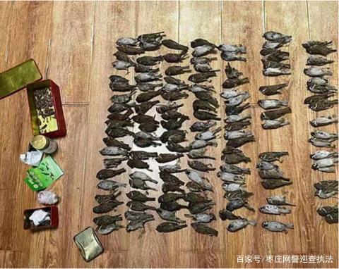 男子毒死200多只麻雀称要自己吃 “捡尸”过程中被抓获