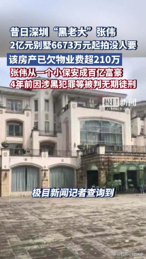 2亿元别墅欠物业费215万元 豪宅八折流拍谜团