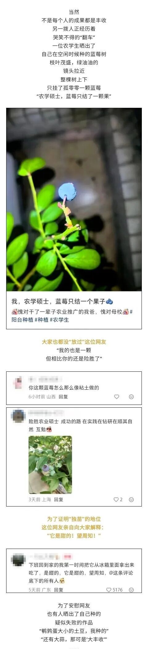 农学生的“毕业论文”又被偷了 追羊成日常挑战