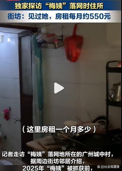 梅姨落网前影像被曝光 街坊：非常像 隐藏市井多年