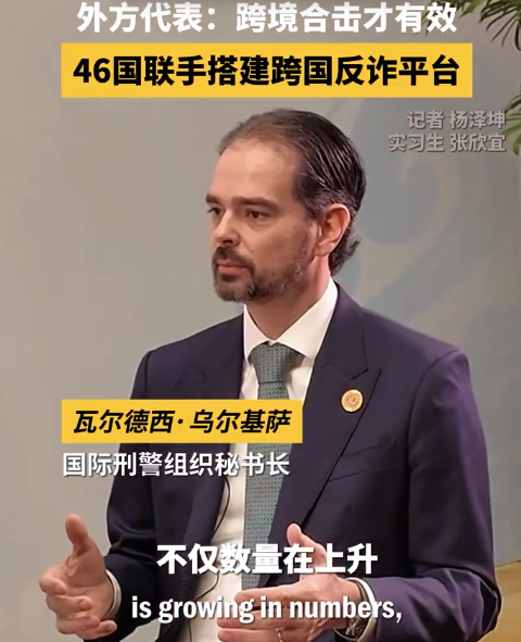 四十六国联手搭建跨国反诈平台 外方代表：跨境合击才有效