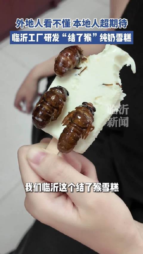 外地人看不懂，本地人超期待——山东临沂一雪糕厂研发出“知了猴”雪糕