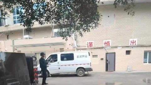 晚报|王毅称民主不是可口可乐、东北虎将接受体检