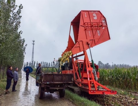 济南商河县:先锋护航战阴雨  干群同心保归仓