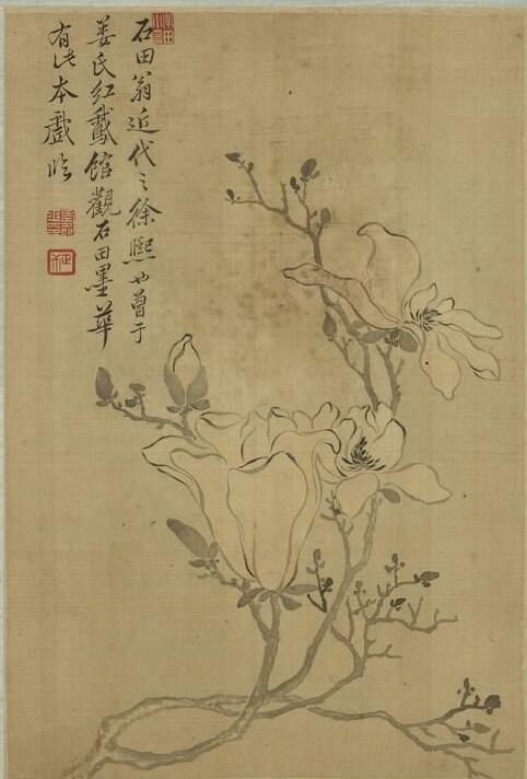 清 恽寿平 《画花卉》册之木兰