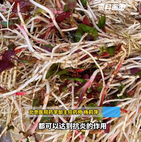 折耳根对炎性疾病有辅疗作用吗？