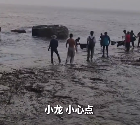 游客落入海中 现役军人果断下海救人