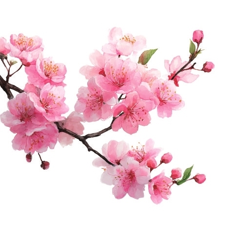 “赏花经济”激活城乡新动能