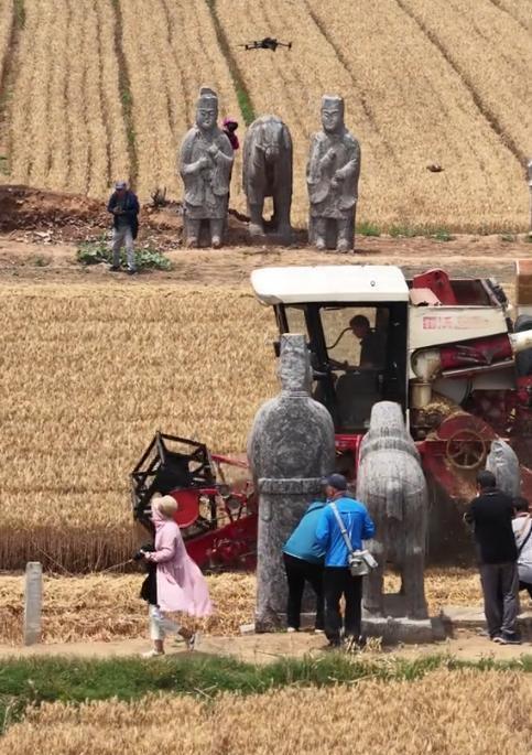 广西人扫墓堪比特种兵训练 艰苦溢价的祭祖之路