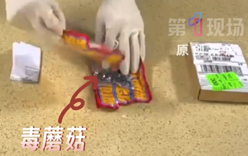 包裹谎称软糖，内里竟是致幻毒蘑菇！