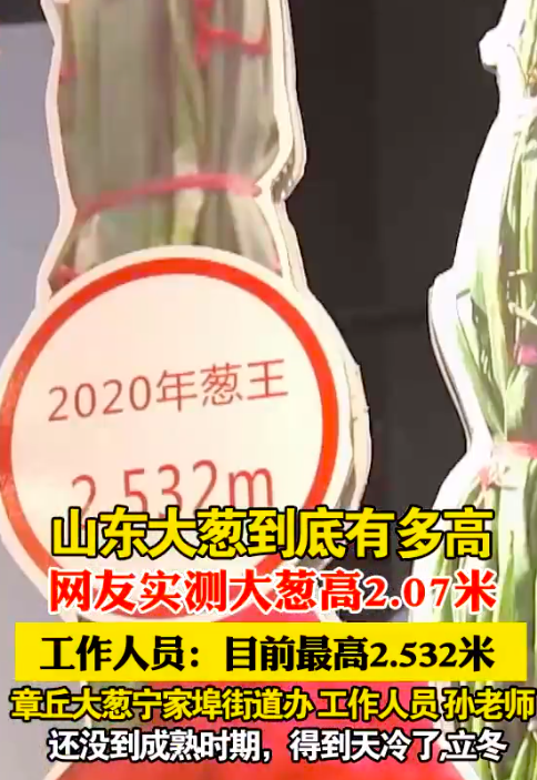 说你没葱高可能真的不是笑话你