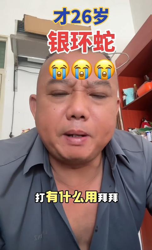 博主回應(yīng)講毒蛇1天漲粉近200萬 悲劇背后的意外走紅