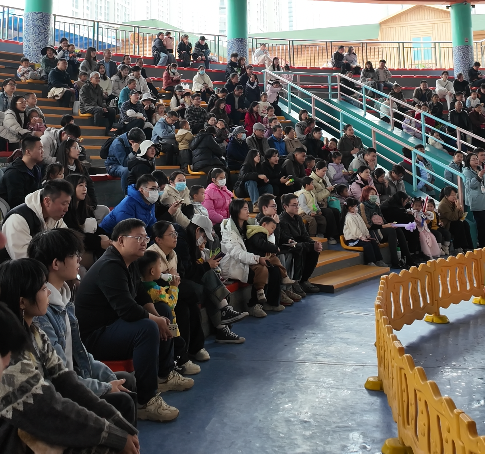 武漢一動物園上演瘋狂動物城，海獅憑“發(fā)癲”舞姿火出圈，保育員：她平時就這么瘋