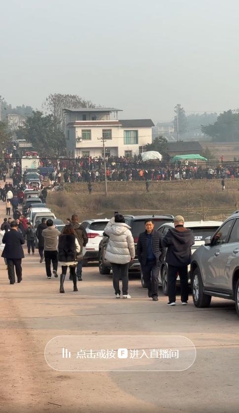 重庆一女孩网上“摇人”杀年猪 意外走红全国