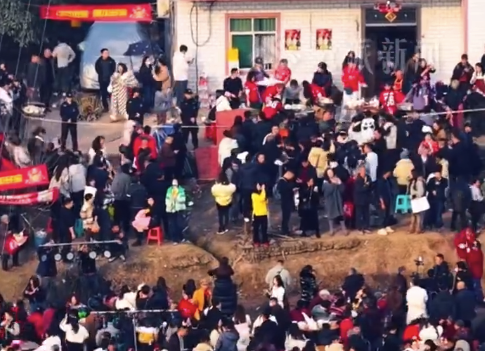 呆呆称已经恢复正常生活：父母情难还，希望大家忽略我短暂的小情绪