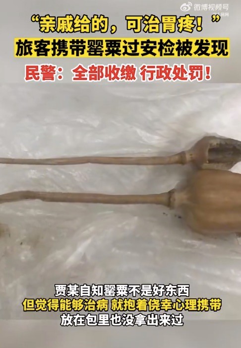 旅客携带罂粟过安检称治胃病