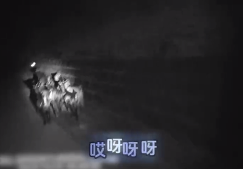 云南女警夜间高速演出赶羊记