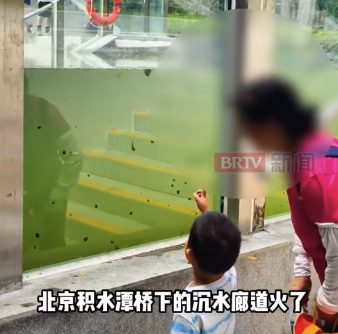 提醒北京市民切勿到积水潭桥下捞鱼，亲水别“玩命”！
