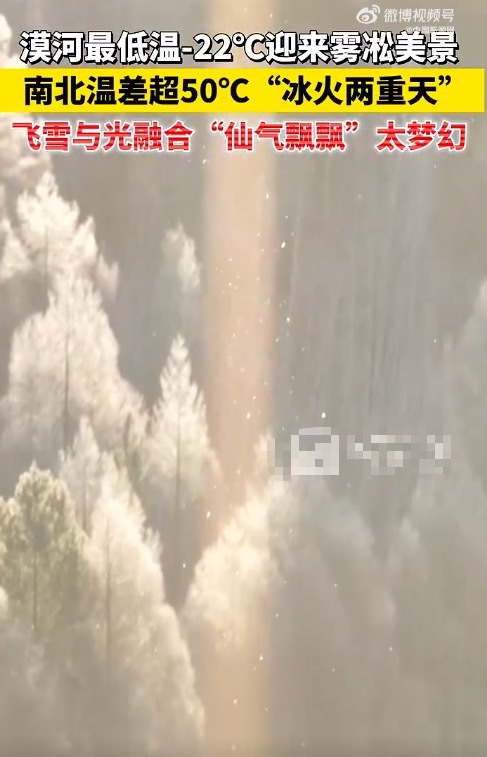你在南方吹空调我在北方看雾凇 "仙气飘飘"太梦幻