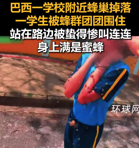 快递员不顾蜇伤救被蜜蜂围攻学生：在救援过程中至少被蛰了40次