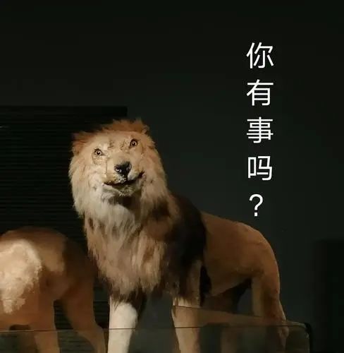 多地博物馆出手打击黄牛 解决博物馆预约难问题