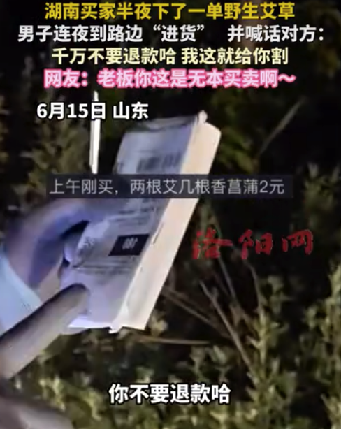 买家半夜下单野生艾草 商家路边割并喊话：千万不要退款