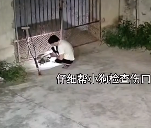 残疾小狗爬进了残疾小伙的家 ​网友：仿佛看到了未来的双向救赎