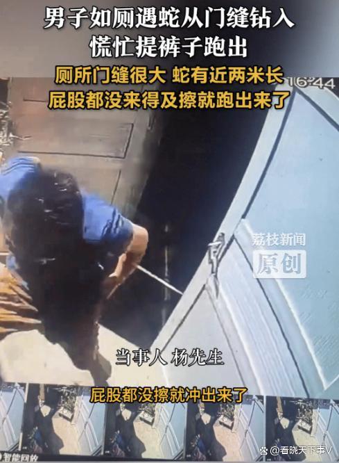 男子如厕遇大蛇闯入慌忙提裤逃窜 惊魂一幕