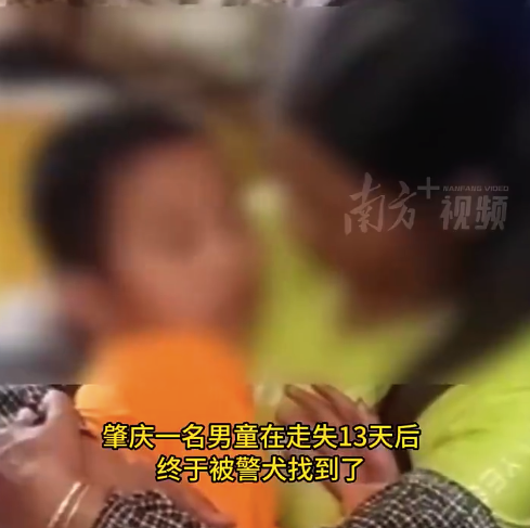 男童走失13天后被警犬找到 家属发声