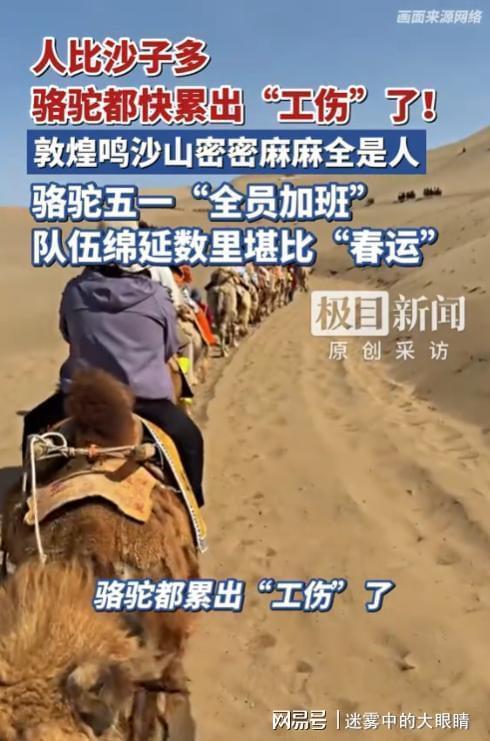 敦煌鸣沙山坐满游客挤成“拼豆” 骆驼全员加班