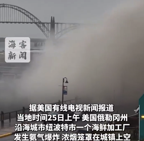 美国一海鲜加工厂氨气爆炸现场画面