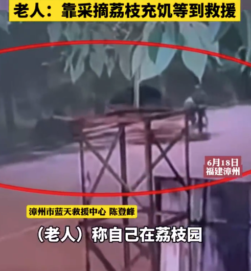 年近六旬老人走失27小时 老人：靠采摘荔枝充饥等到救援