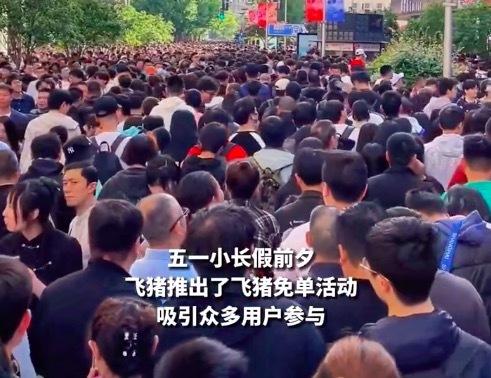 免单大奖过期未使用急坏飞猪