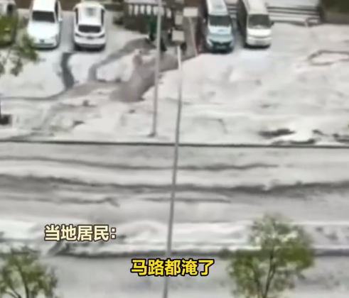 内蒙古鄂尔多斯遭遇冰雹天气，街道白茫茫一片如冰河，当地居民称多年未见此景象