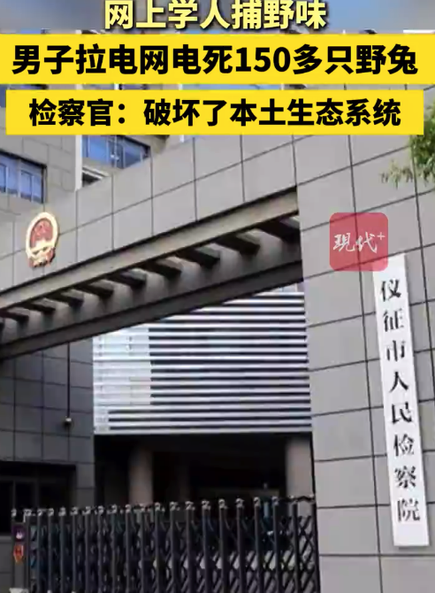 男子拉电网电死150余只野兔，非法获利12000余元