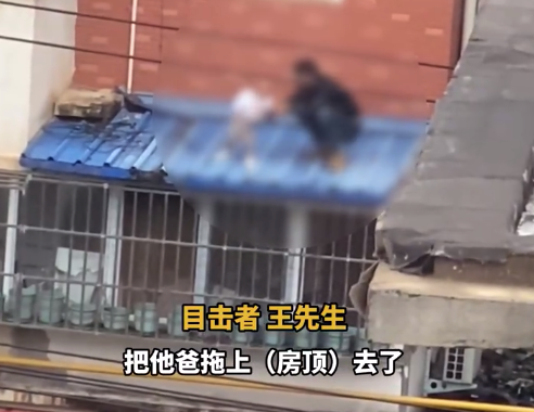 一幼童从5楼掉到3楼雨棚 目击者回应