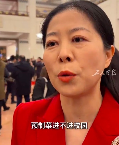 预制菜能不能进校园？代表称预制菜进校园不能一刀切