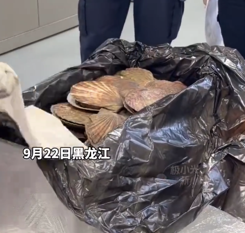 黑龙江首次入境活体软体水生动物，一个一斤重，比手掌还大
