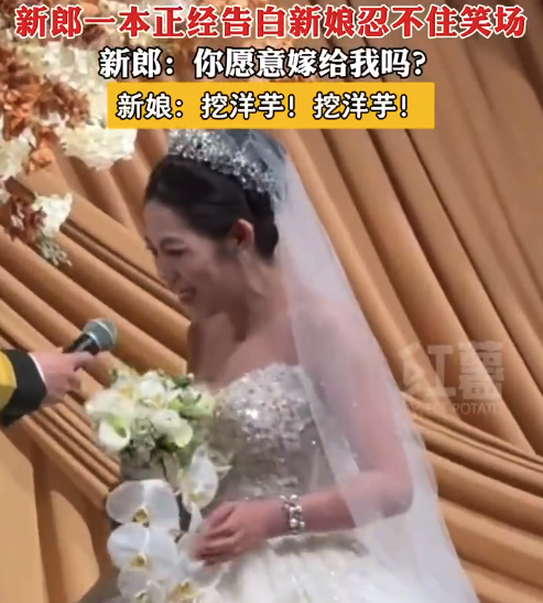 新郎一本正经告白新娘忍不住笑场 网友：终于看见一个搞笑女结婚了