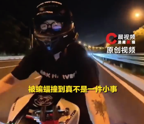 被蝙蝠撞到真不是一件小事！即使没有明显伤口，接触蝙蝠唾液、黏膜也存在感染风险