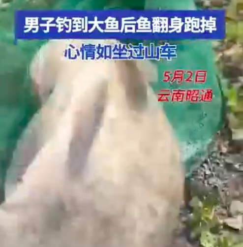 男子钓到大鱼拍视频时鱼跑了 网友：心情就像坐过山车